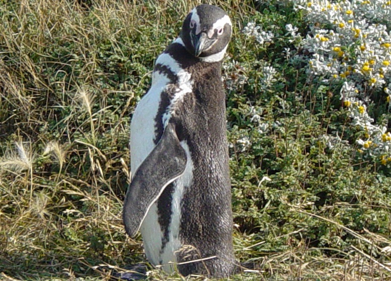 click for 
next photo