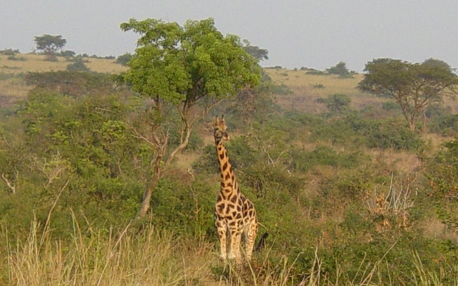 click for 
next photo