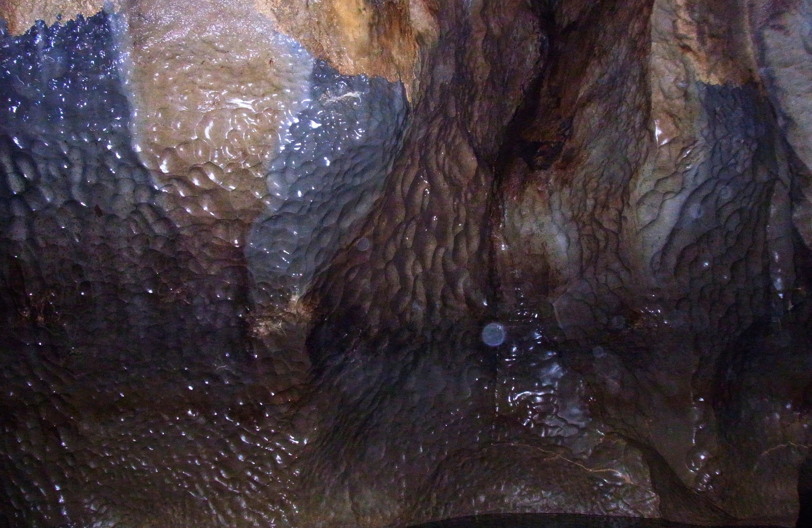 click for 
next photo
